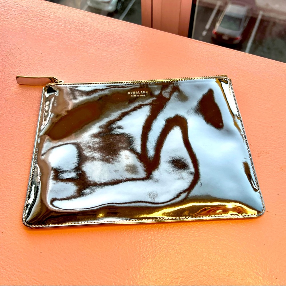 Everlane Chrome Leather Clutch
